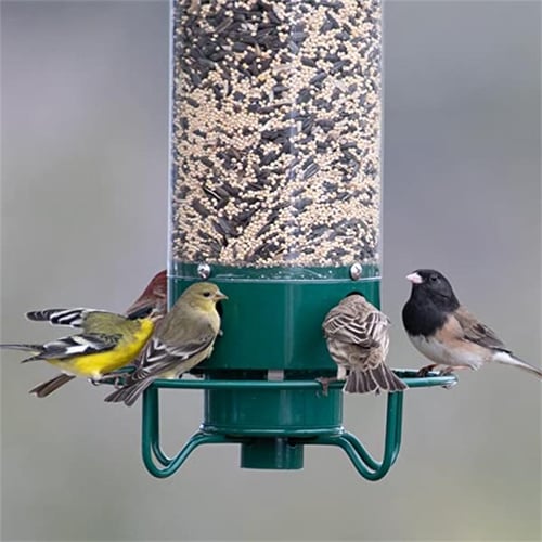 💥Clear Stock Last Day 50% OFF🔥-100% Squirrel-Proof Bird Feeder