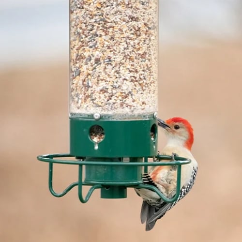 💥Clear Stock Last Day 50% OFF🔥-100% Squirrel-Proof Bird Feeder